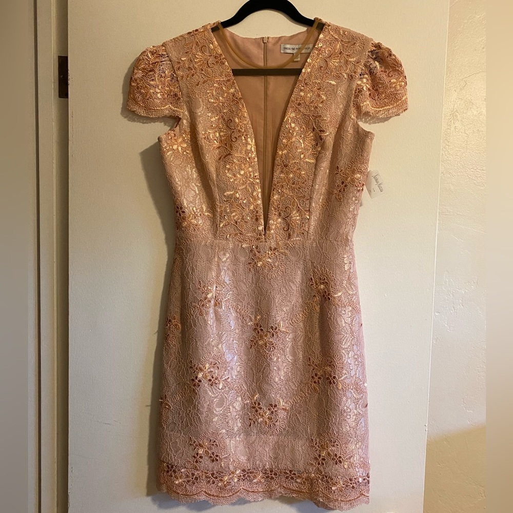 *NWT* Dress the Population Pink Lace Dress - Medium